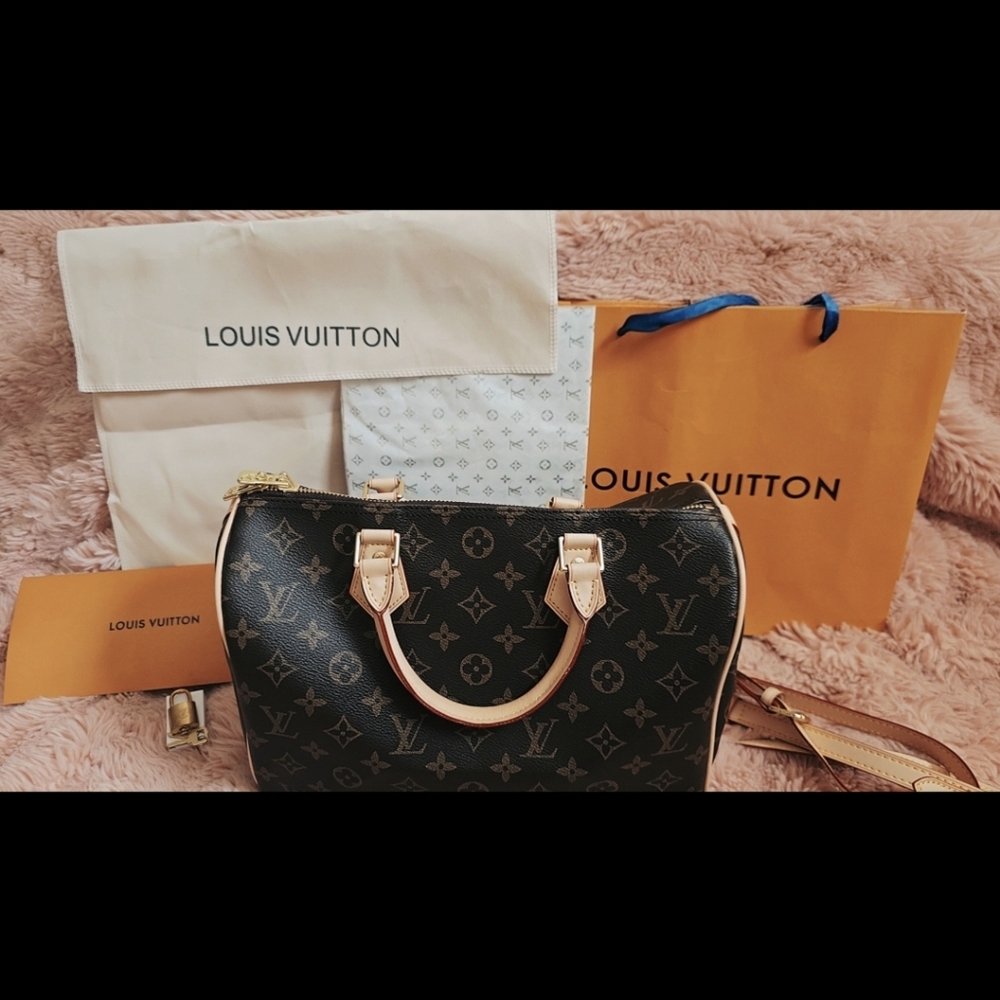 Louis Vuitton Monogram Brown Handbag